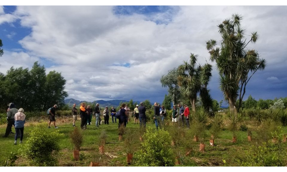 HBT field trip at John Faulkner's revegetation site, Nov 2022